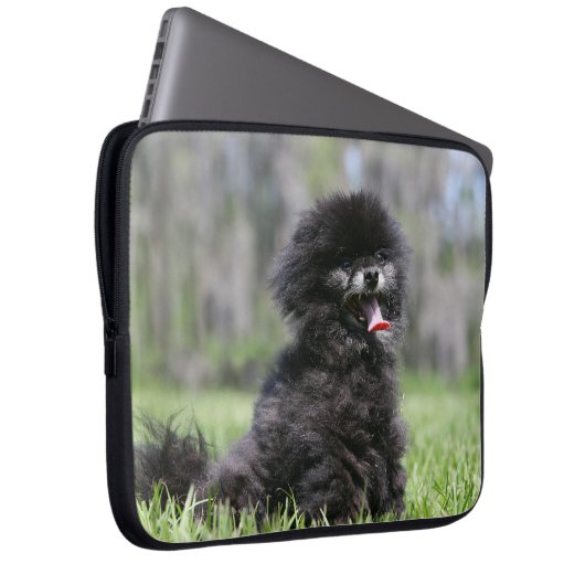 Schwarzer älterer Spitz Laptopschutzhülle (Vorne Rechts)