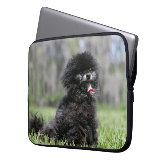 Schwarzer älterer Spitz Laptopschutzhülle (Vorderseite Links)