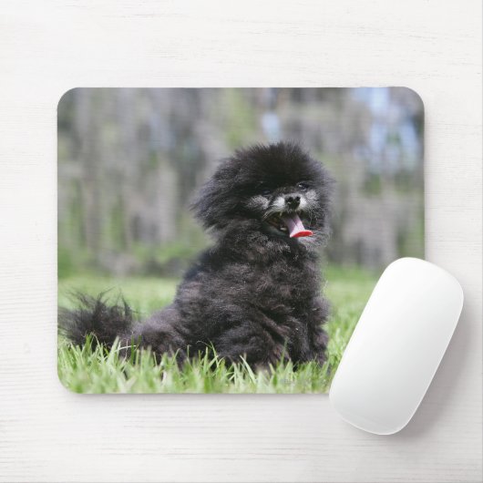 Schwarzer älterer Spitz Mousepad (Mit Mouse)