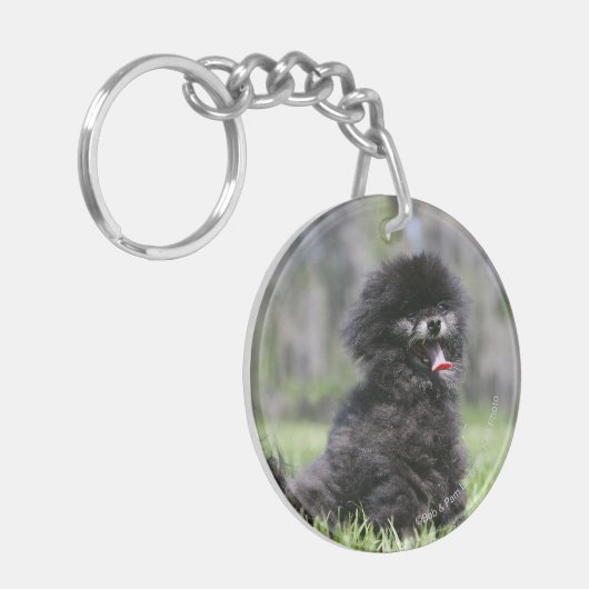 Schwarzer älterer Spitz Schlüsselanhänger (Vorderseite links)