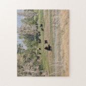 Schwarzer Angus in der Weide Puzzle (Vertikal)