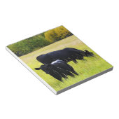 Schwarzer Angus Rind Weiden in Gelbgrasfeld Notizblock (angewinkelt)