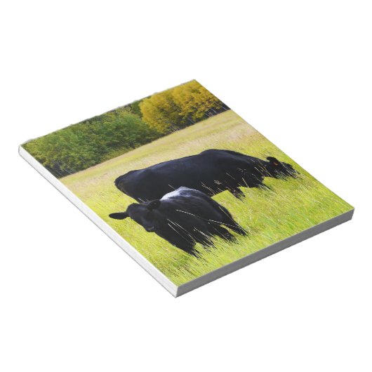 Schwarzer Angus Rind Weiden in Gelbgrasfeld Notizblock (angewinkelt)