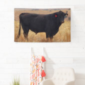 Schwarzer Angus Steer Grazing mit Herde Banner (Insitu)