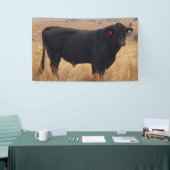 Schwarzer Angus Steer Grazing mit Herde Banner (Messeveranstaltung)