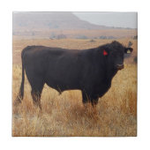 Schwarzer Angus Steer Grazing mit Herde Fliese (Vorderseite)