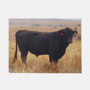 Schwarzer Angus Steer Grazing mit Herde Fußmatte