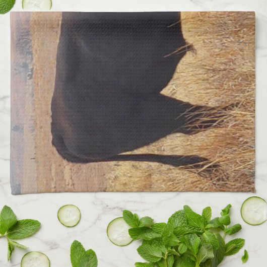 Schwarzer Angus Steer Grazing mit Herde Geschirrtuch (Gefaltet)