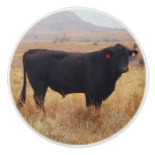 Schwarzer Angus Steer Grazing mit Herde Keramikknauf (Vorderseite)