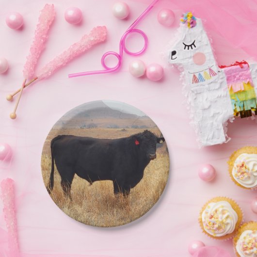 Schwarzer Angus Steer Grazing mit Herde Pappteller (Party)