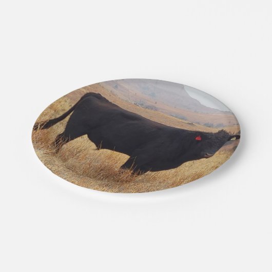 Schwarzer Angus Steer Grazing mit Herde Pappteller (Schrägansicht)