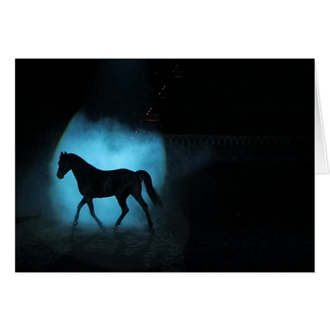 Schwarzer arabischer Stallion (Vorderseite (Horizontal))