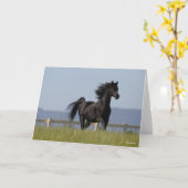 Schwarzer arabischer Stallion, der Mangelflut flie Karte (Gelbe Blume)