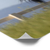 Schwarzer arabischer Stallion, der Mangelflut flie Poster (Ecke)