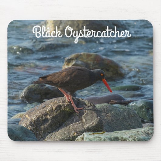Schwarzer Austernfang Mousepad (Vorne)