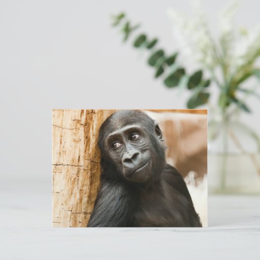 Schwarzer Baby-Affe Postkarte (Stehend Vorderseite)