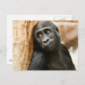 Schwarzer Baby-Affe Postkarte (Vorne/Hinten)