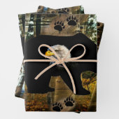 Schwarzer Bär Adlerbär Paw Prinz Wilderness Geschenkpapier Set (Beispiel)