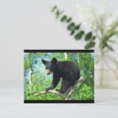 Schwarzer Bär auf einem Baum Postkarte (Stehend Vorderseite)
