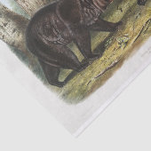 Schwarzer Bär aus Nordamerika (1845) Seidenpapier (Ausschnitt)