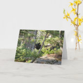 Schwarzer Bär bei Grand Teton Karte (Gelbe Blume)