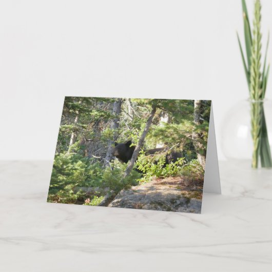 Schwarzer Bär bei Grand Teton Karte (Vorderseite)