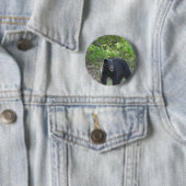 schwarzer Bär Button (Beispiel)