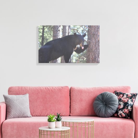 Schwarzer Bär, Canvas Prints Leinwanddruck (Insitu (Wohnzimmer))