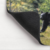 Schwarzer Bär, der eine Ranch überquert Mousepad (Ecke)