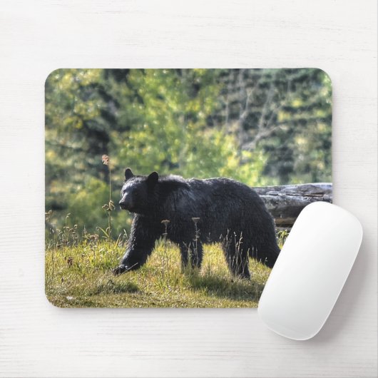 Schwarzer Bär durch eine Ranch-Weide II Mousepad (Mit Mouse)