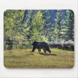 Schwarzer Bär durch eine Ranch-Weide Mousepad
