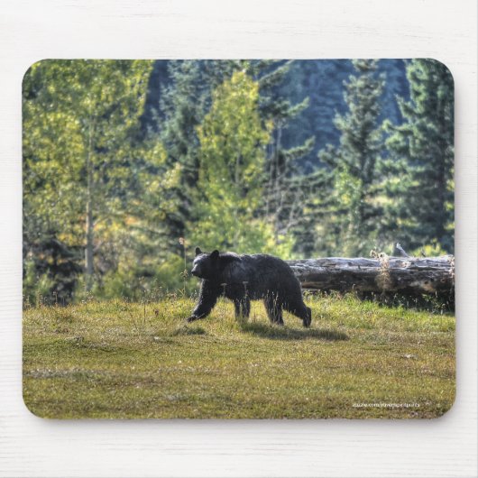 Schwarzer Bär durch eine Ranch-Weide Mousepad (Vorne)