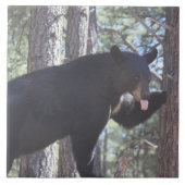Schwarzer Bär Fliese (Vorderseite)