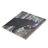 Schwarzer Bär Fliese (Seite)