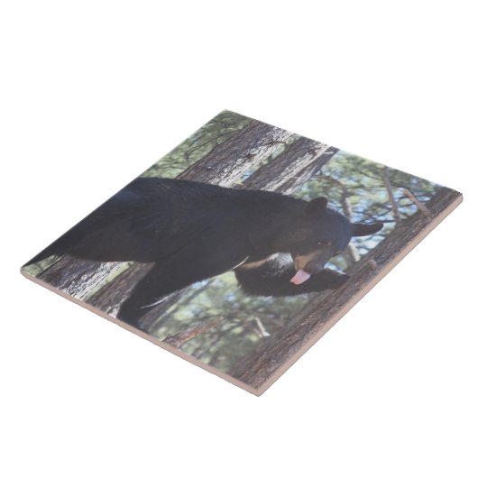 Schwarzer Bär Fliese (Seite)