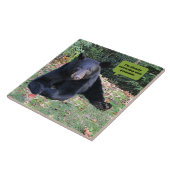 Schwarzer Bär - Ich korrigiere leise Ihre Grammati Fliese (Seite)