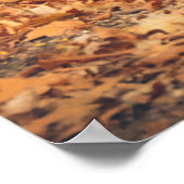 Schwarzer Bär im Herbstwald Poster (Ecke)