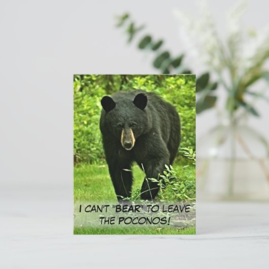 Schwarzer Bär im Hinterhof "Kann nicht Verlassen w Postkarte (Stehend Vorderseite)