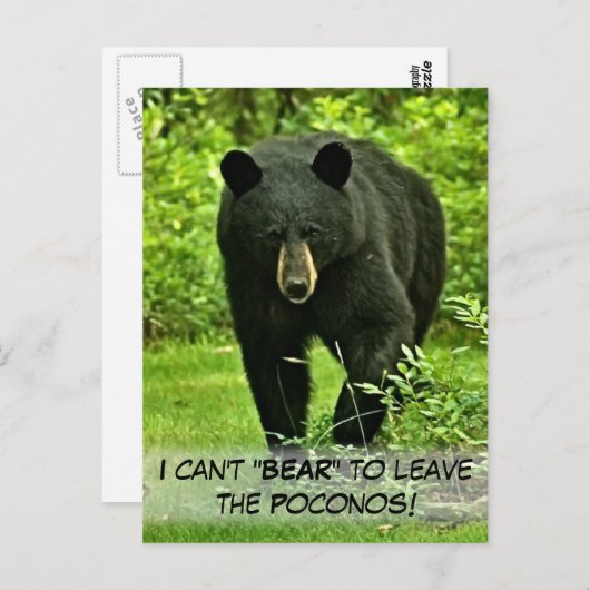 Schwarzer Bär im Hinterhof "Kann nicht Verlassen w Postkarte (Vorne/Hinten)