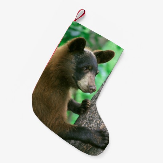 Schwarzer Bär im Holz Kleiner Weihnachtsstrumpf (Vorderansicht (hängend))