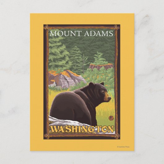 Schwarzer Bär im Wald - Berg Adams, Washington Postkarte (Vorderseite)