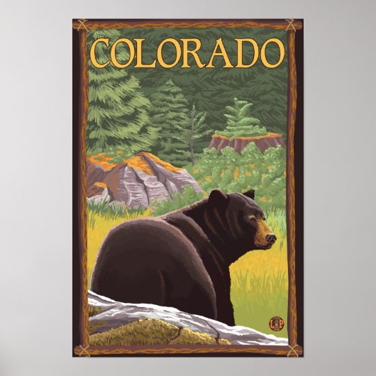 Schwarzer Bär im Wald Colorado Poster (Vorne)