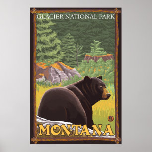 Schwarzer Bär im Wald - Glacier National Park, MT Poster