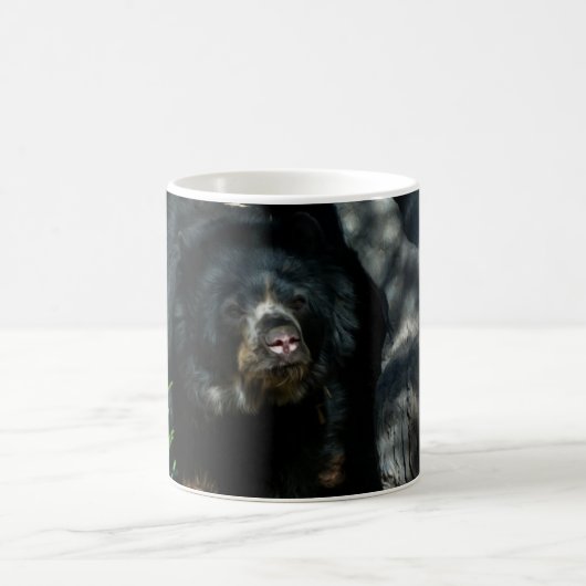Schwarzer Bär im Wald Kaffeetasse (Mittel)