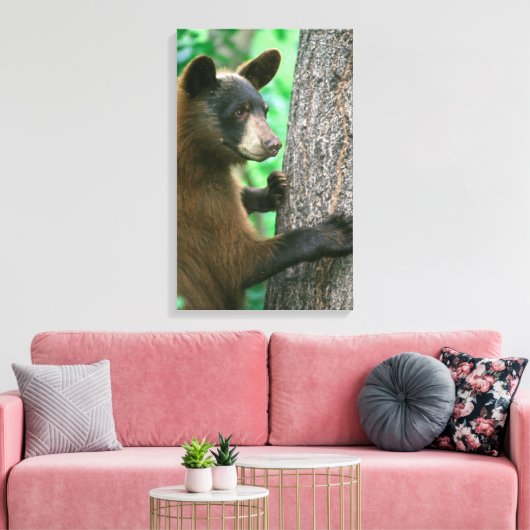 Schwarzer Bär im Wald Leinwanddruck (Insitu (Wohnzimmer))