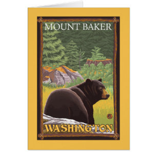 Schwarzer Bär im Wald - Mount Baker, Washington