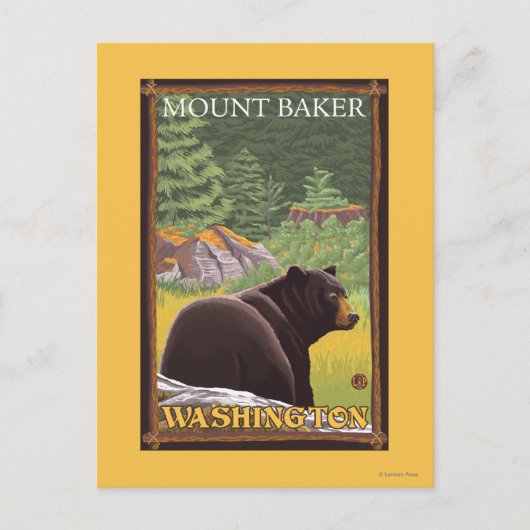 Schwarzer Bär im Wald - Mount Baker, Washington Postkarte (Vorderseite)