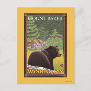 Schwarzer Bär im Wald - Mount Baker, Washington Postkarte