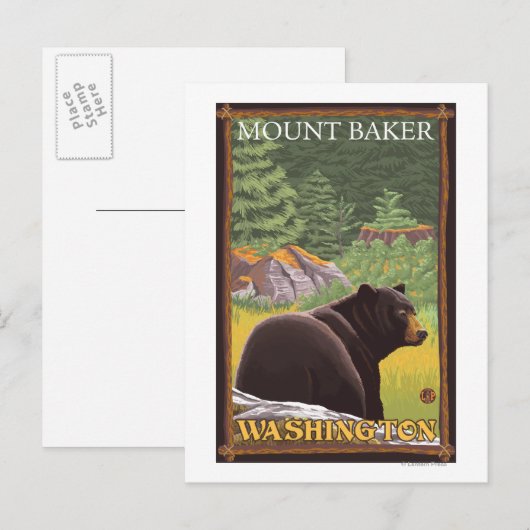 Schwarzer Bär im Wald - Mount Baker, Washington Postkarte (Vorne/Hinten)