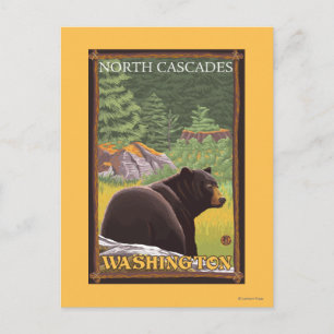 Schwarzer Bär im Wald - Nordkaskaden, Washington Postkarte